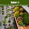 BYHER Natural Green Moss Decorative Ball,Handmade (3.5"-Set of 6)