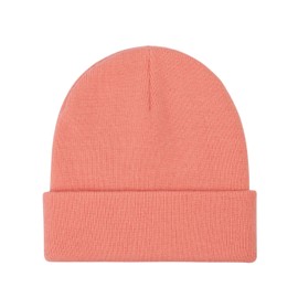 Dickies Gibsland Beanie One Size, Flamingo feather
