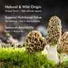 VIGOROUS MOUNTAINS Premium Dried Wild Morel Mushrooms, Wild Harvested, 2oz