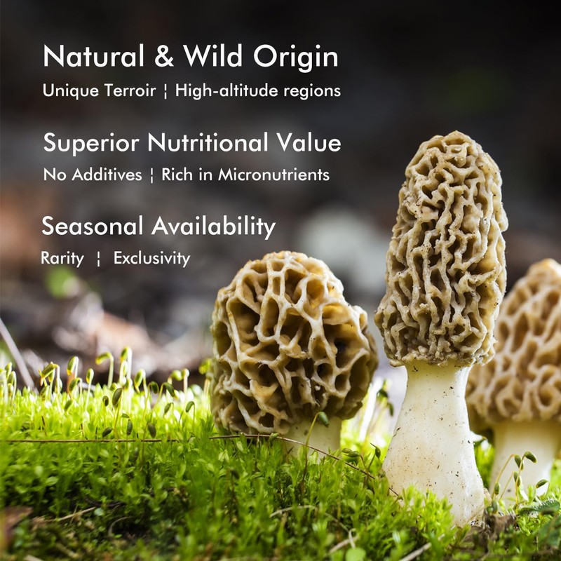 VIGOROUS MOUNTAINS Premium Dried Wild Morel Mushrooms, Wild Harvested, 2oz