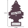 Little Trees BlackBerry Clove 24 Pack