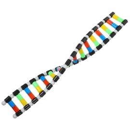 VOSAREA DNA Model Double Helix Model DNA Display Component for Science Teaching Display