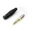 ABLET 3.5mm 1/8" TRS Male & 6.3mm 1/4" adapter to
