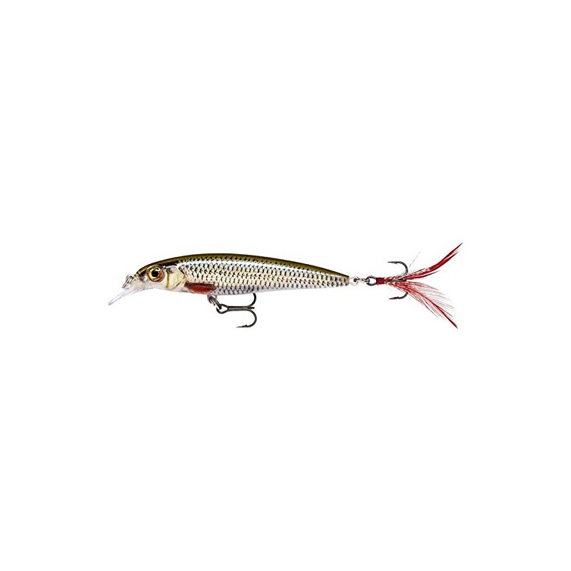 Rapala Unisex-Adult X-Rap Locken, Live Roach, 6 cm / 4g
