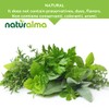 Rustyback Fern (Ceterach officinarum or Asplenium Ceterach) Leaves NATURALMA |