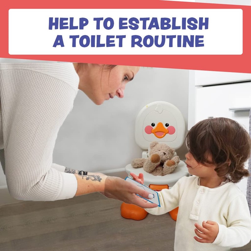 My Toilet Routine Cards 12 Flash Cards for Visual aid
