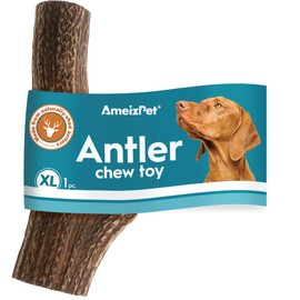 AmeizPet Antlers for Dogs, Natural, Durable Dog Chew Bone, Deer Chew Bone for Dogs, Deer Antlers, Long Lasting - 1 Piece XL Size