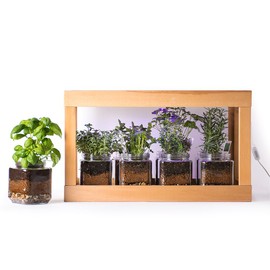SuperMoss 01702 Indoor Herb Garden, Hardwood
