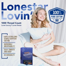 TEXAS LINEN CO. 100% Egyptian Cotton Standard/Queen Size Pillow Cases Set of 2-1000 Thread Count Pillow Cover - Soft, Breathable & Cooling Silver Pillowcases Set of 2 for Standard/Queen Pillows