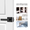 Probrico Matte Black Passage Door Levers Square Hall Closet Handles,