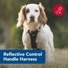 Coastal Pet Reflective Control Handle Harness - Reflective Harness for
