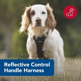 Coastal Pet Reflective Control Handle Harness - Reflective Harness for Dog - Comfortable Fit - Easy Control - Easy On/Off Design - Safety Equipment for Dogs - Black, Girth: 26"-38" x Neck: 16"-24"