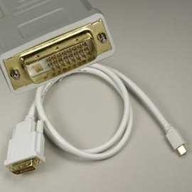 ACCL 6Ft Mini DP Male to DVI Male Cable, 1 Pack