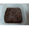 Fresh Milkweed seeds, 1,000 seeds, fresh 2024, from wild grown