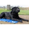 CoolPets Premium Cooling Mat - Suitable for Dogs - Non-Slip