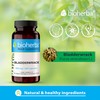 BIOHERBA BLADDERWRACK 400mg, 100 Capsules - Dive into Wellness with
