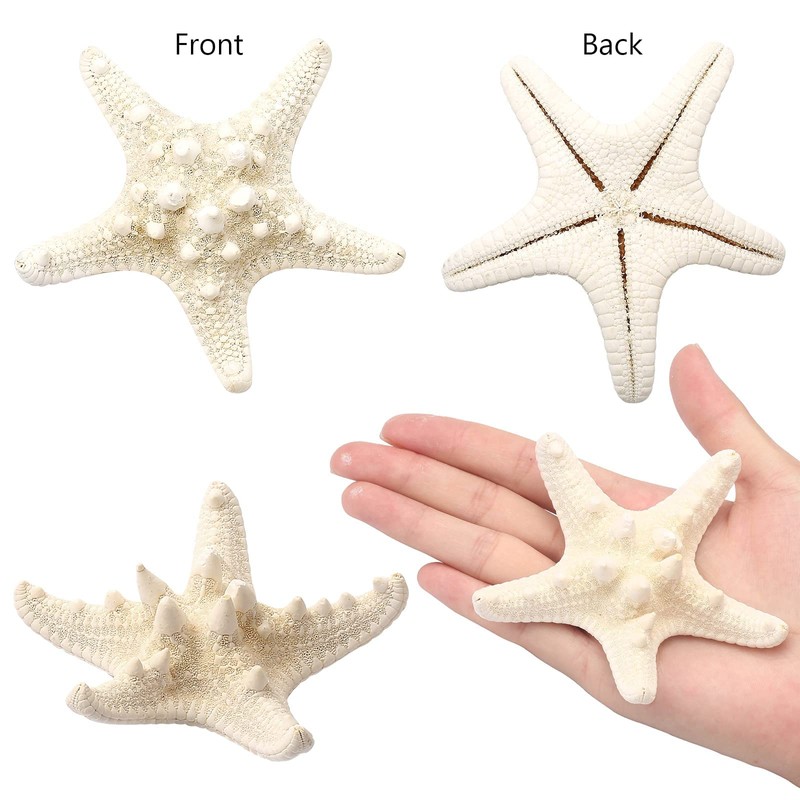 SKOOLOVE 10PCS Natural Starfish Mixed, Finger Starfish and Bread Starfish
