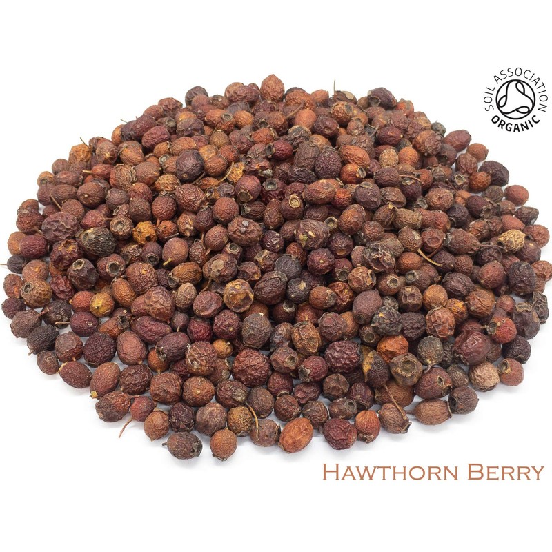Organic Hawthorn Berry Pure Herbal Infusion (25 Unbleached Tea Bags