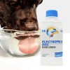 Electrodex Perro Bebida Hidratante Suero Hidratación 625ml