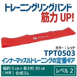 Zhongshan and Trade (Sakurai) Promark (Pro Mark) Baseball Training Ring Band Level 2 Yoshino 龍司 Design tpt0503 