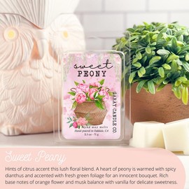 Clean Soy Blend Wax Melts Candle Decor with 50  including holiday favorite fragrances, smokeless fragrance for your home   Freshener Scented - Scent: Sweet Peony