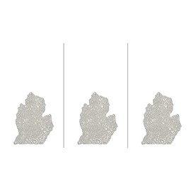 The Scented Castle 3 Pack Coconut Bay Scented Michigan Shape Air Fresheners