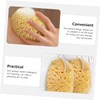 SAFIGLE 2Pcs Body Scrubber Sponges Soft Exfoliating Bath Sponges for