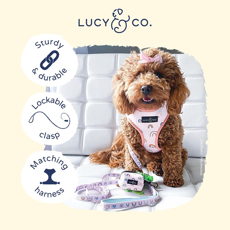 Lucy & Co. 5 Foot Dog Leash - Best Designer