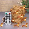 Impress Life Pet Theme Christmas Decorative String Lights, 10ft 30