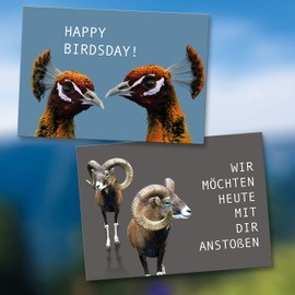 Geburtstagskarten Postkarten Set (10 Motive) lustig Glückwunschkarten, Postkarten Tier Karten lustige Sprüche, Geschenk Karte zum Geburtstag Geburtstagsgeschenk Grußkarten Mann Frau birthday cards