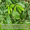 FullChea - Soursop Leaves Tea Bags, 40 Teabags - Premium