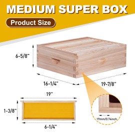 BeeCastle 10 Frame Medium Super Bee Hive Box, Langstroth Honey Bee Hive Include Beehive Frames and Waxed Foundations (Unassembled)