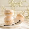 Empire Candle Vanilla Macaron Jar Candle, 12 Oz, Home Fragrance
