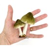 Mushroom Clip Ornaments - Set of 3 Woodland Mushroom Decorations