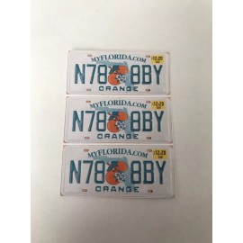 Any Brand 1/5 scale Customized  Florida License Plate decals for r/c cars & trucks