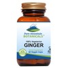 Pure Mountain Botanicals Ginger Capsules - Kosher Vegan with 1000mg