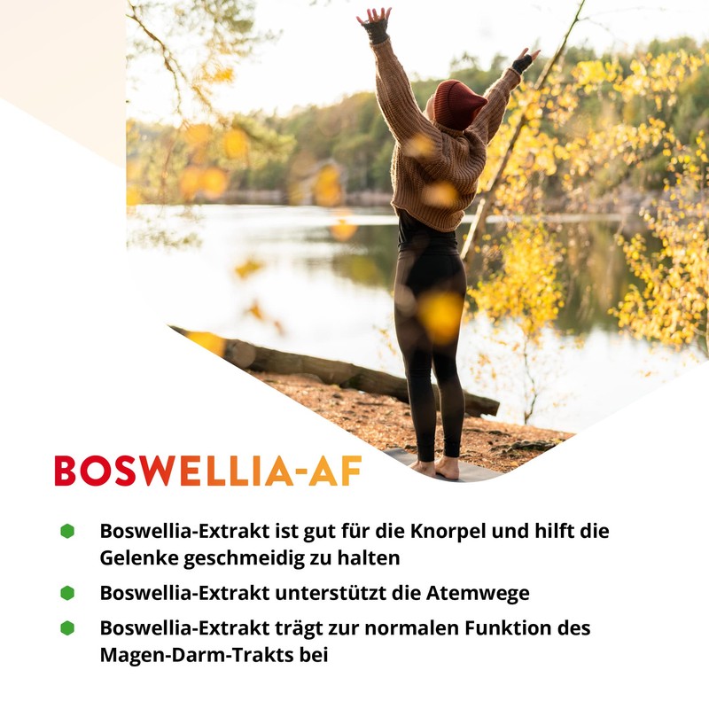Vitals Boswellia AF – 60 Capsules, Vegan. For Movable Joints.