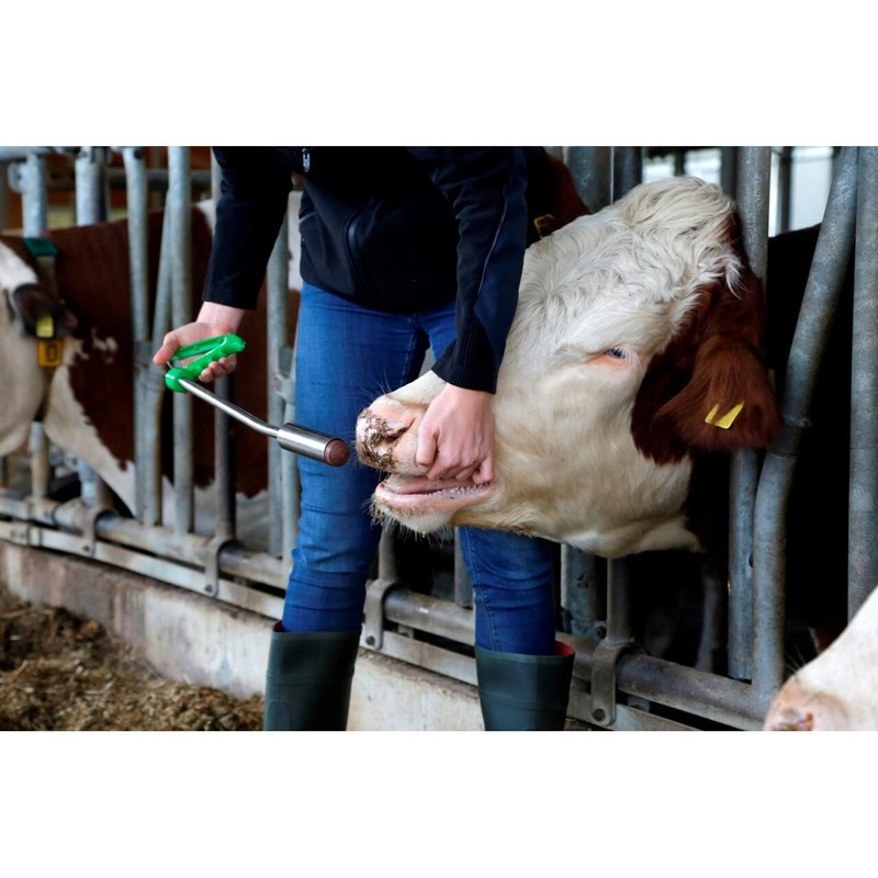 Fertigol Bolus, Beta-Carotene Bolus, 8 Bolus/Pack