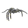 Kandytoys 6.5 inch Tar Spider With Beans - Assorted