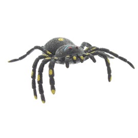 Kandytoys 6.5 inch Tar Spider With Beans - Assorted