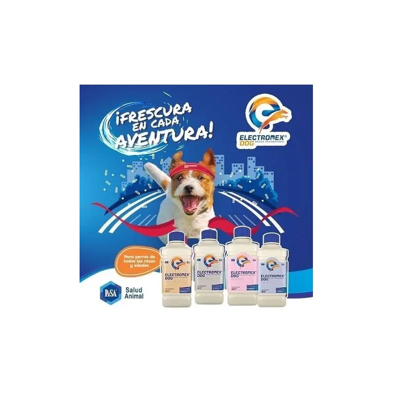 Electrodex Perro Bebida Hidratante Suero Hidratación 625ml