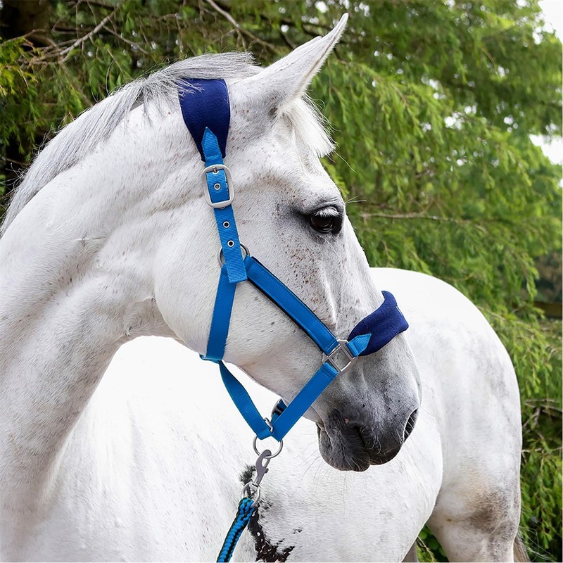 John Whitaker Unisex Club Headcollar and Lead Rope Set Royal
