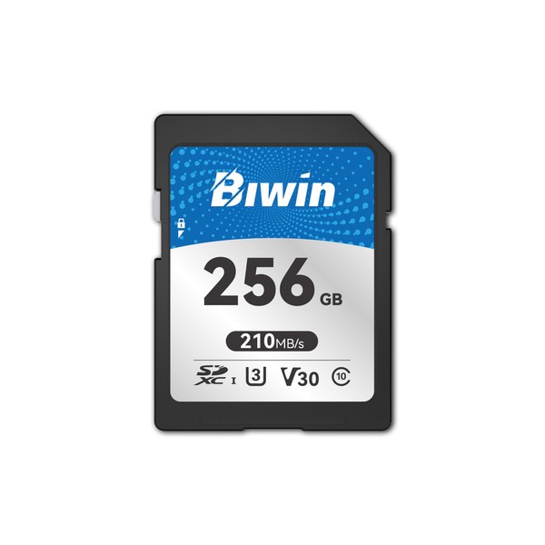 Biwin SD210 SD Card 256GB, SDXC V30 4K UHD Class