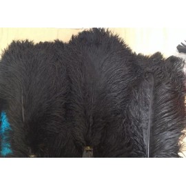 Feather Paradise Black Ostrich Feathers Plume Wing Horse Feather 22-24 inch 12  Pcs Male Feathers