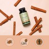 Ceylon Cinnamon 2000mg Vegavero® | High Strength Extract (8:1) |