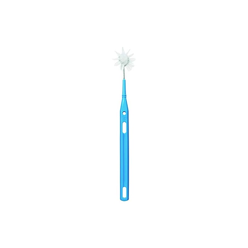 Oral Care Lina Brush with Handle