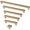 Franklin Brass Napier (1-Pack) Cabinet Knobs | Champagne Bronze Handles