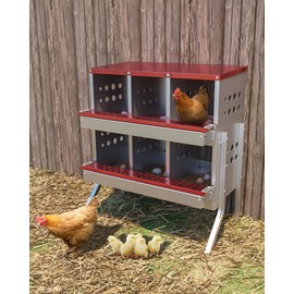 Hipicute Chicken Nesting Box for Laying Eggs, Roll Away Chicken Laying Boxes, Roll Out Nesting Boxes for Hens, 6 Compartments with Legs, Red