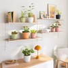 LECHUZA Classico Color 14 Deco Papaya Table Pot Matte Surface