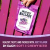 Wiley Wallaby Licorice 10 Ounce Classic Gourmet Soft & Chewy